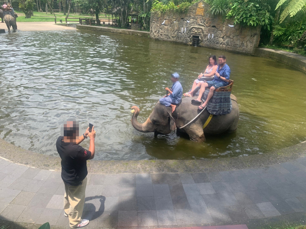 Toeristen op een olifant op Bali