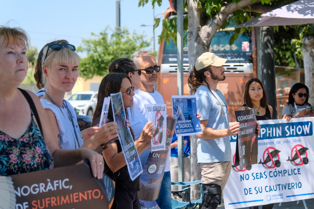 Oceanografic Protesta