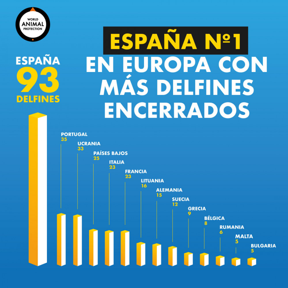 Ranking delfines encerrados